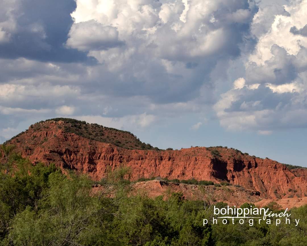 bohippianfinch's tweet photo. NEW STOCK PHOTOGRAPHY AVAILABLE!  Come see the newest additions to iStock ready to download!
https://t.co/4RWIJvPzta
#istockphoto #stockphotography #stockphoto #gettyimagesistockphotographer #photography #landscapephotography #ruralphotography #farmlandscape #canyonphotography https://t.co/g03yG4g4Bm