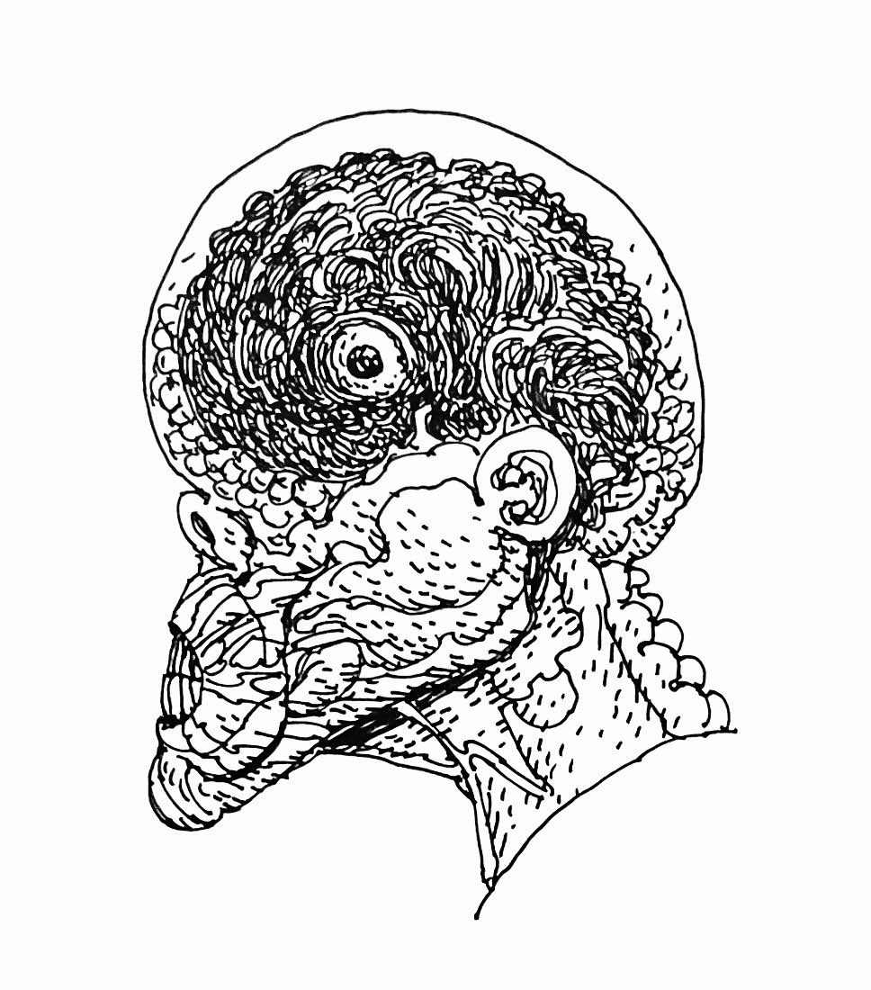 Not sure if I've ever posted these on their own-

The individual heads charting the growth of an embryonic parasite 