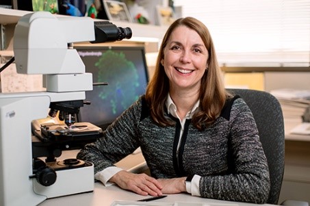 MayoRegMed tweet media