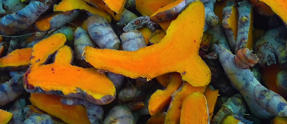 nutrition_facts's tweet image. Curcumin appears to play a role in helping to block every stage of cancer transformation, proliferation, and invasion. It may help before carcinogens even get to our cells! bit.ly/2M6wOsb