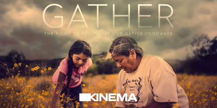 KinemaHQ's tweet photo. Happy Indigenous Peoples' Day! 'Gather' (@gatherfilm) is an illuminating documentary that intimately explores Native Americans' fight to reclaim their identities through food sovereignty, and it's available to book today. Link here: https://t.co/7EmPzh8zNP https://t.co/cb8yxxjFXG