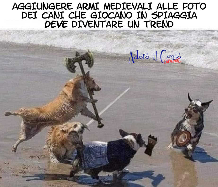 AdoroilGenio's tweet photo. ADORO IL GENIO - ANIMALI FANTASTICI
Ma anche grafici fantastici.
#adoroilgenio #11ottobre #animalifantastici #trend #cani #pets #corgi #medioevo #canichegiocano #grafica #computergrafica #giocherelloni #mare #spiaggia #bagnasciuga #TrendingNow #Trending https://t.co/ak7B2dsBzi
