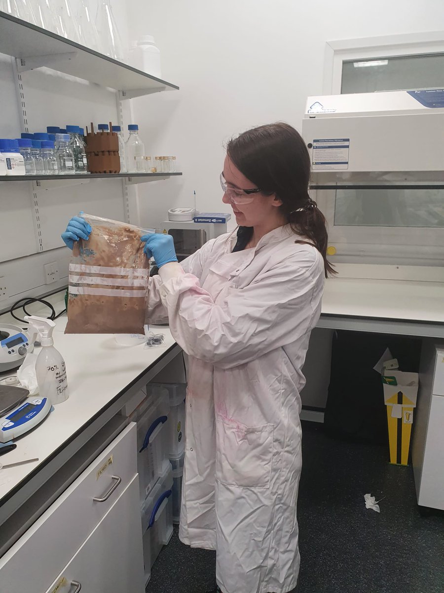 It may not look appealing, but a constant supply of biomass is key to improving our #bioprocess &amp; translating our peptide ingredients into viable solutions. The dedicated work of our team (&amp; bioreactor) are ensuring we can deliver our R&amp;D #pipeline &amp; meet our #development goals.