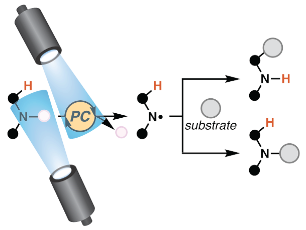 How do you access and use fleeting nitrogen-centered radical intermediates? As the lit on photoredox-mediated reactions explodes, our team (<a href="/kwon_mikey/">Mikey Kwon</a>, <a href="/tsimonsii/">Tom Simons</a>, Dr. Nanda M. (not on twitter), and <a href="/roizengroup/">Jennifer Roizen</a>) has done some of the work for you: pubs.acs.org/doi/10.1021/ac…