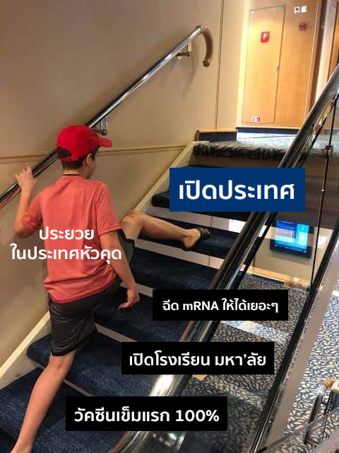 ขอบคุณนะคะที่จะเปิดประเทศ