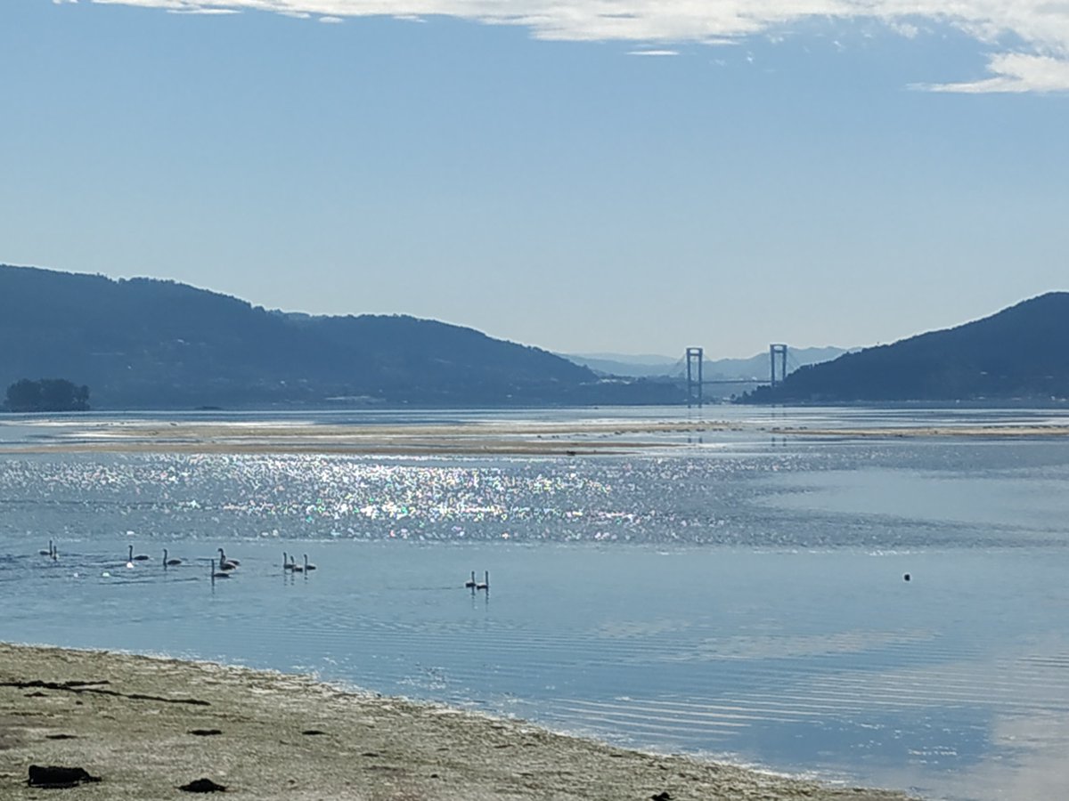 UolFree's tweet image. #Arcade #PonteDeRande #Pontevedra