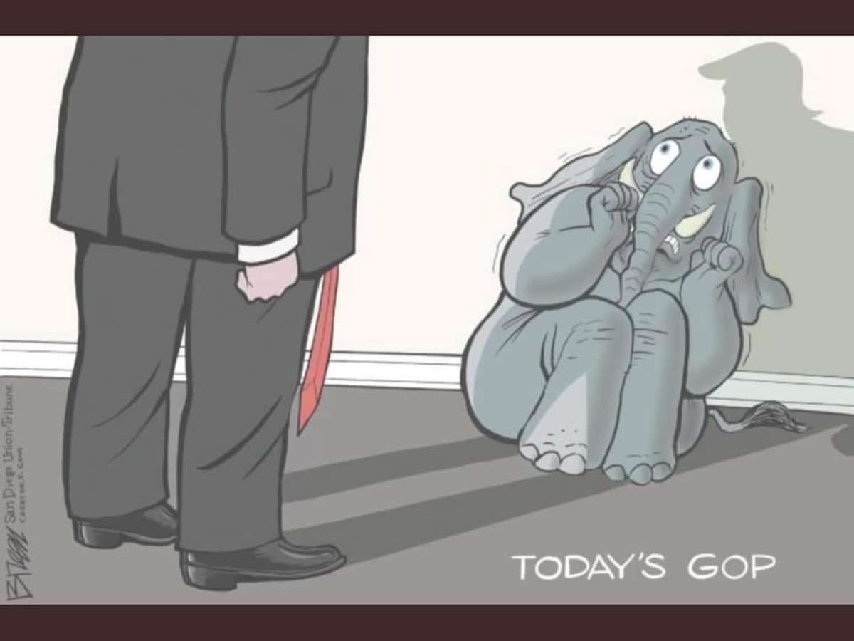 LowettaM's tweet photo. @RepAdamSchiff They sure the hell are.😡 https://t.co/NNpoxembwa