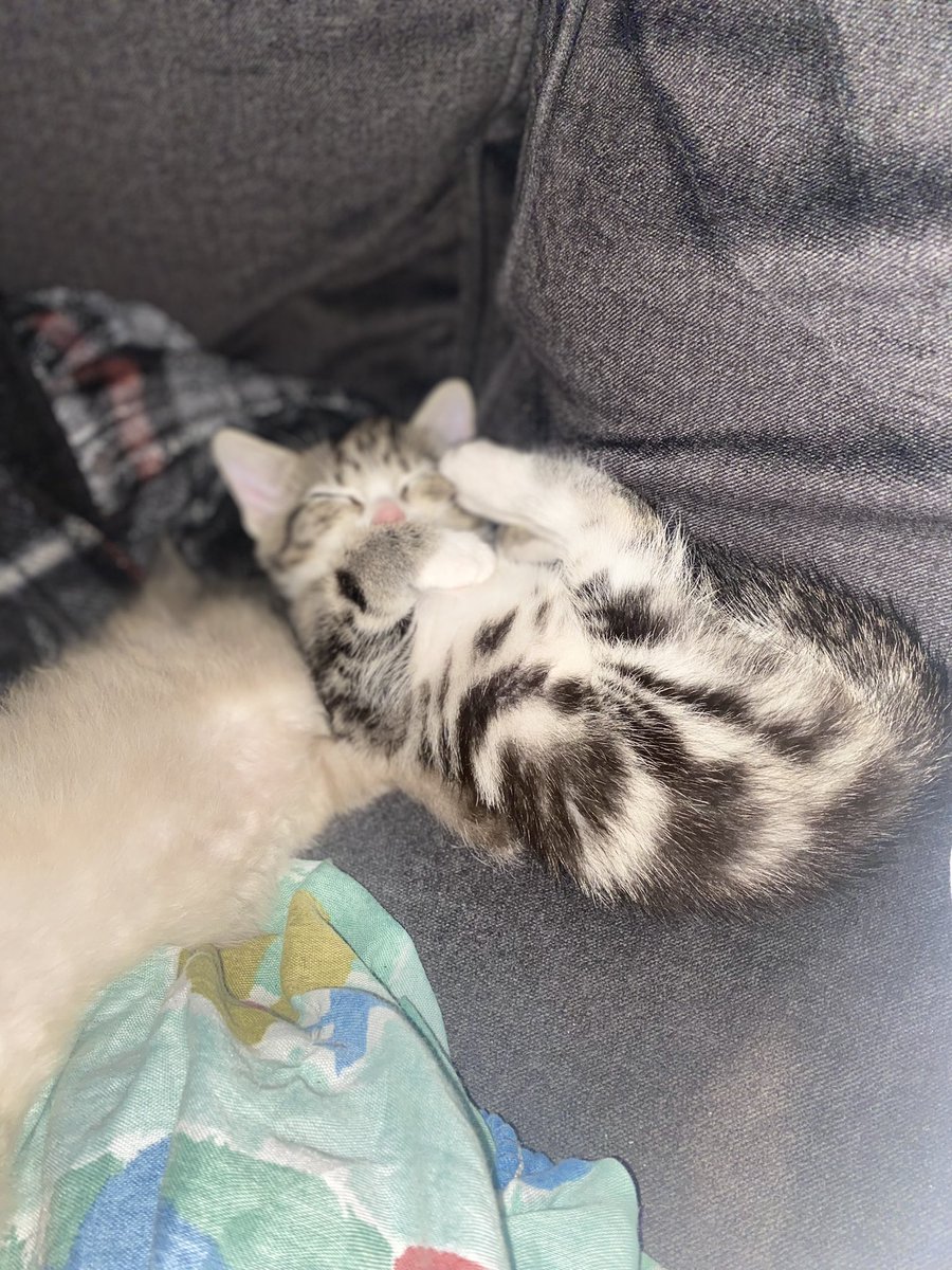 Mommy&Moo tweet media