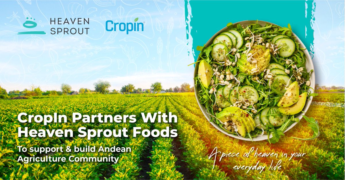 CropInTech's tweet photo. We're delighted to announce our new beginnings with Heaven Sprout Foods Inc! ✨

The strategic partnership will enable us to promote smarter and sustainable future in #Ecuador, to empower the agrarian economies in the Andean Communities! 🇪🇨 

#DigitalAgriculture #Agtech https://t.co/uc1pCTlCqy