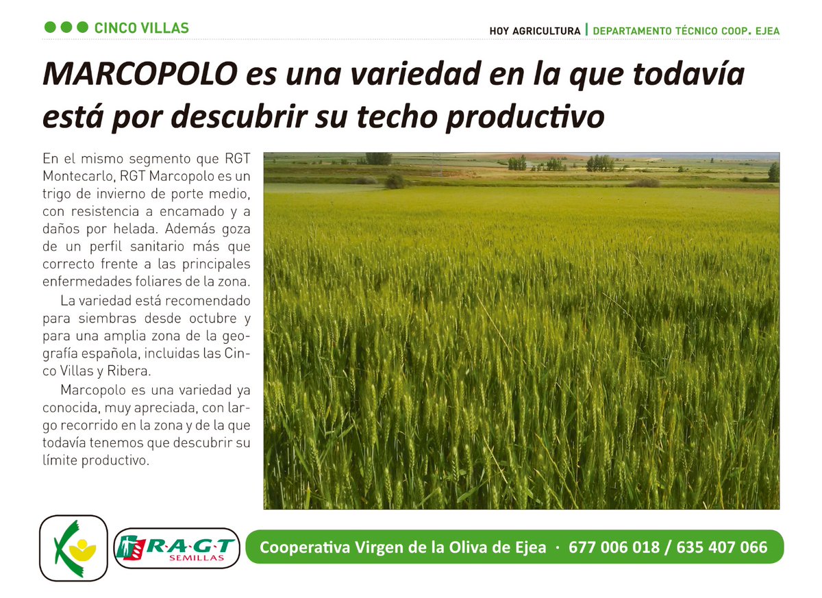 CoopEjea's tweet photo. https://t.co/Gv9yVtD326