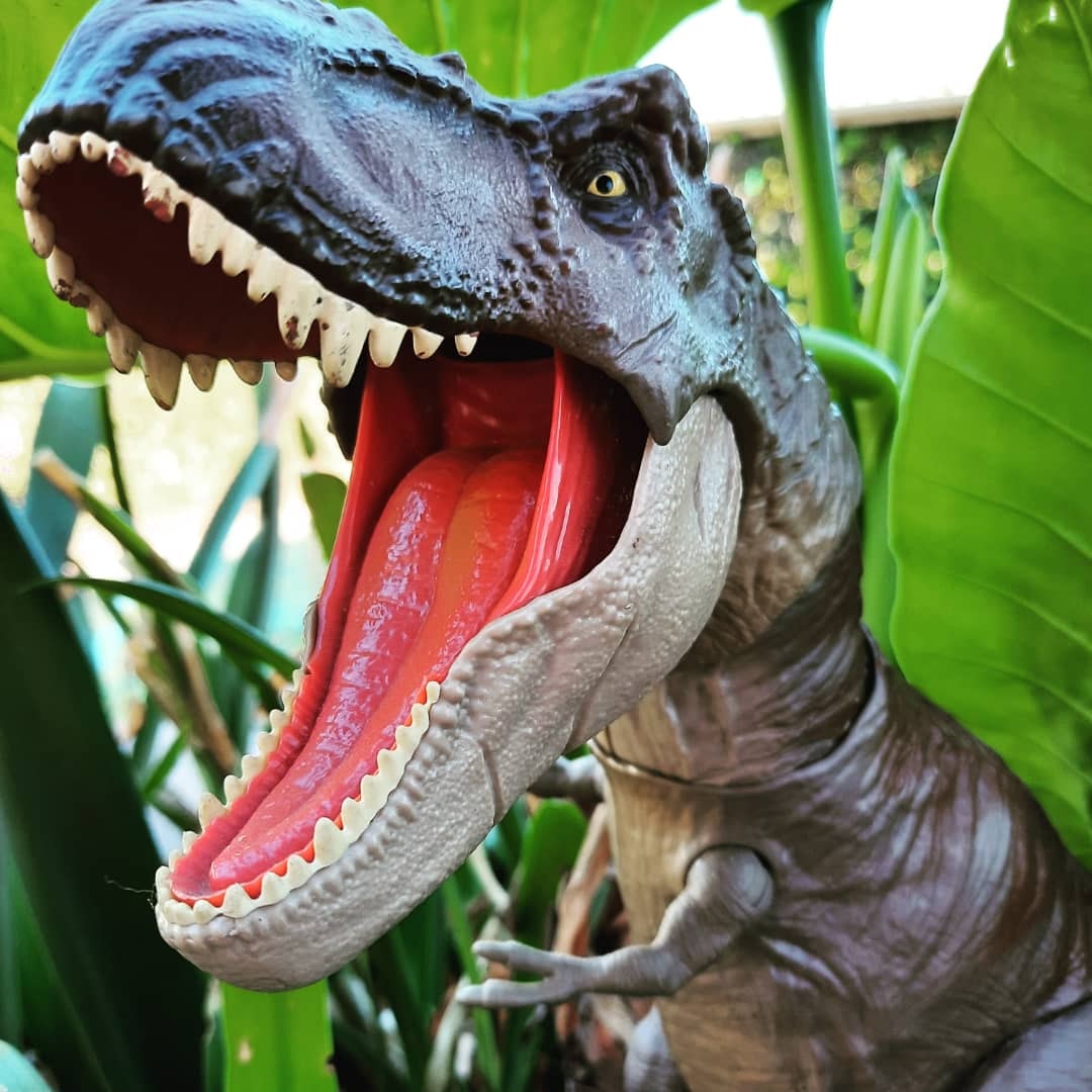 RetroBeastGamer's tweet photo. Welcome to Jurassic Park🦖
#jurassicpark #jurassicparkvhs #vhs #dinosaursarecool #dino #trex #jeffgoldblum #stevenspielberg #vhsisnotdead #vhstapes #vhscollection #welcometojurassicpark #vhscollector #dinosaurtoys #matteltoys #trextoy #sagamer #retrosouthafrica #retrocollective https://t.co/aBczzjMgIb