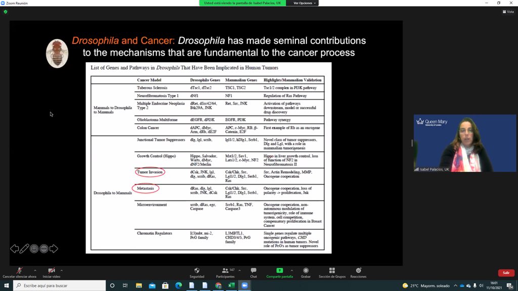 realDrosAfrica tweet media