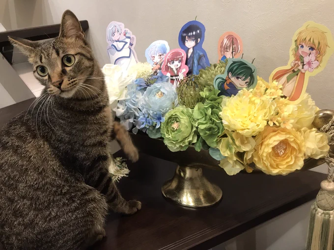 博多、なんば原画展会場に送って頂いたお花と寄せ書き届きました

キャラ達のイメージに合わせたお花、とても可愛いです🌸ありがとうございます🌸飾ります
ここにあるお花以外も写真で目に焼き付けております
会場を華やかにして下さった全ての皆様 本当にありがとうございました🙏🙏 