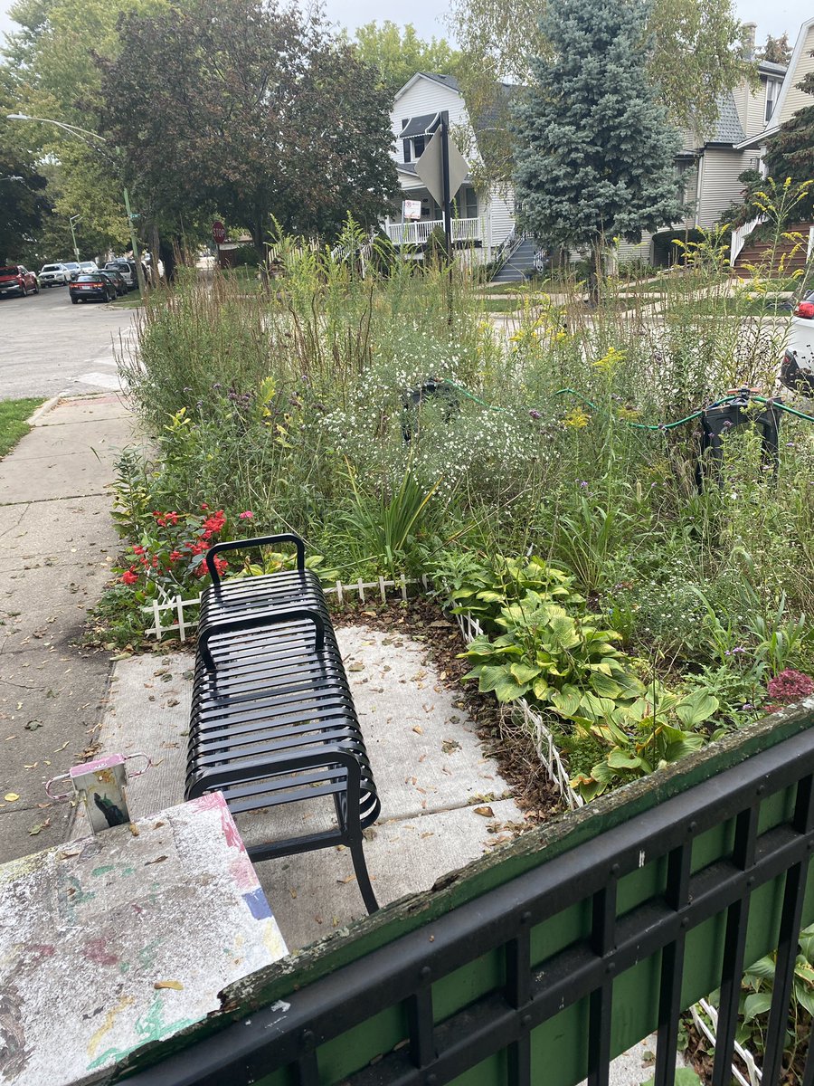 Come check out our butterfly garden before we clean it up for winter. You’ll also notice our lending library as well. Sit and enjoy. #butterflygarden