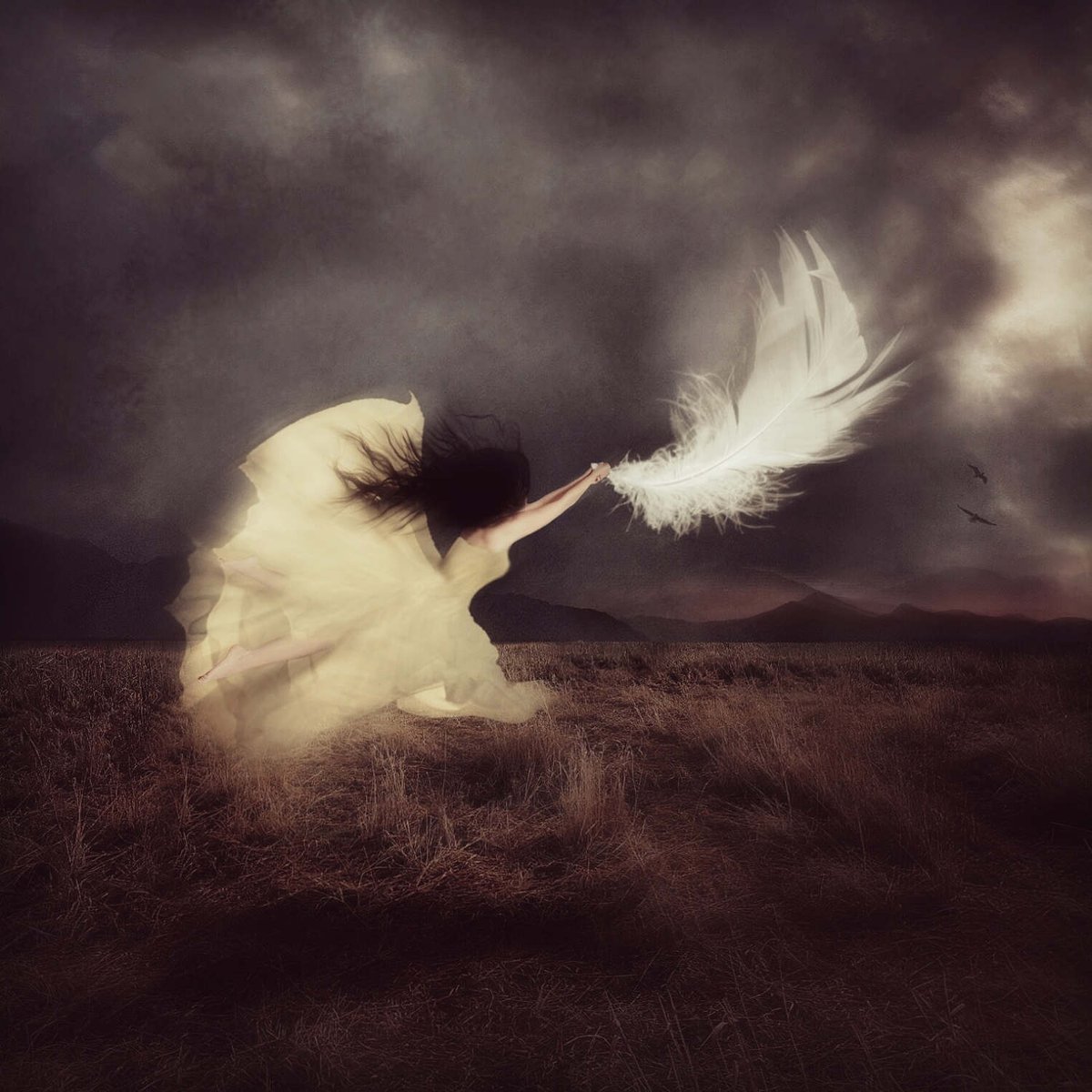 auroraluce9's tweet photo. La Speranza 
è quella cosa piumata 
che si viene a posare sull’anima 
canta melodie senza parole 
e non smette mai. 

Emily Dickinson

#ConIClassici
#CasaLettori https://t.co/wLLqlmEjBE
