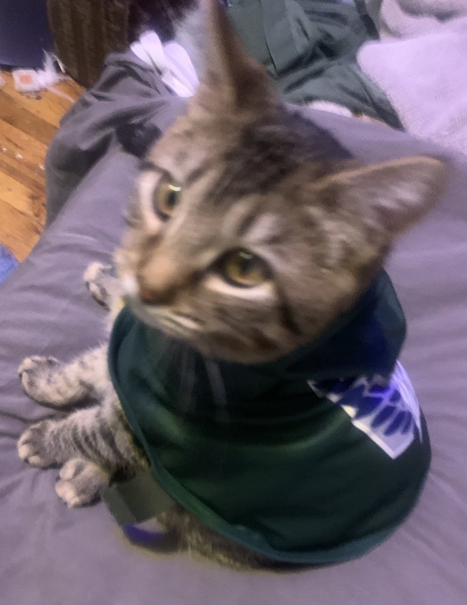 KilledBefore tweet media