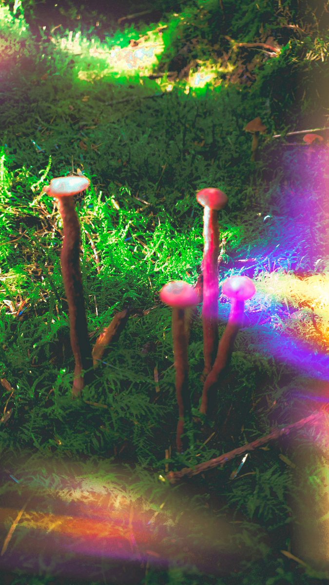 Today a solar storm is expected to reach the earth directly. The tendrils of the sun reach down to the earth and the etheriological networks of Gaia vibrate in resonance. When this happens incidents of paranormal and UFO activity increases enormously. Watch and wait.