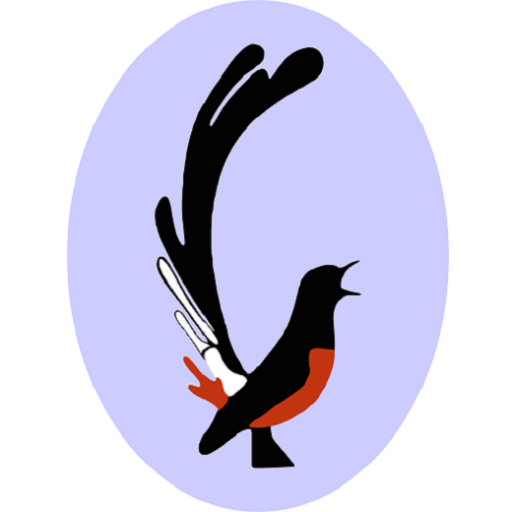 Kicaumania Indonesia On Twitter Tips Agar Indukan Burung Murai Batu Cepat Bertelur Https T Co 9up72ngliy Https T Co Lq9qhoqtjt Twitter