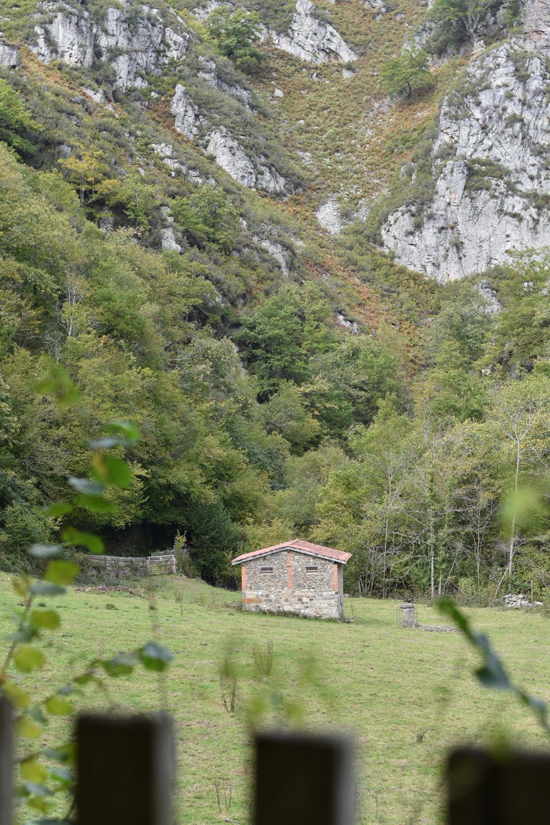puky27's tweet photo. Fotos de ayer🍂
#AsturiasParaisoNatural 💚
#RutadelAlba https://t.co/NBpTGgcSs9