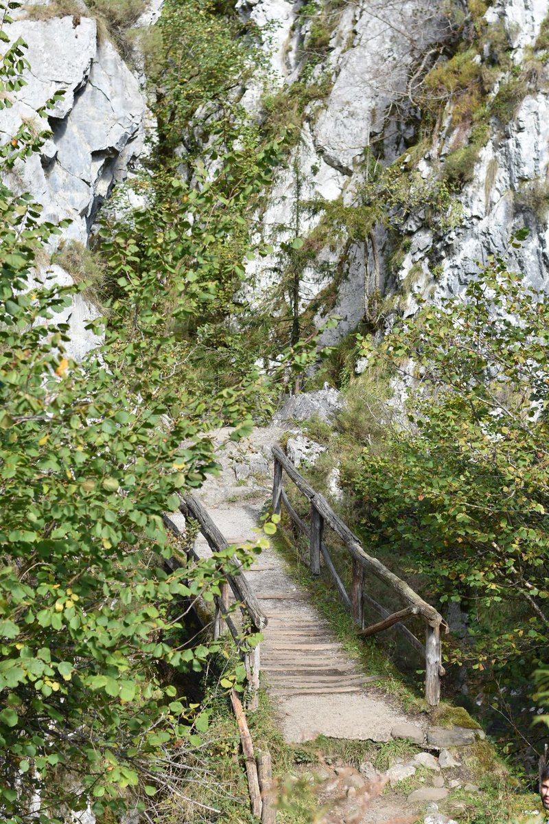 puky27's tweet photo. Fotos de ayer🍂
#AsturiasParaisoNatural 💚
#RutadelAlba https://t.co/NBpTGgcSs9