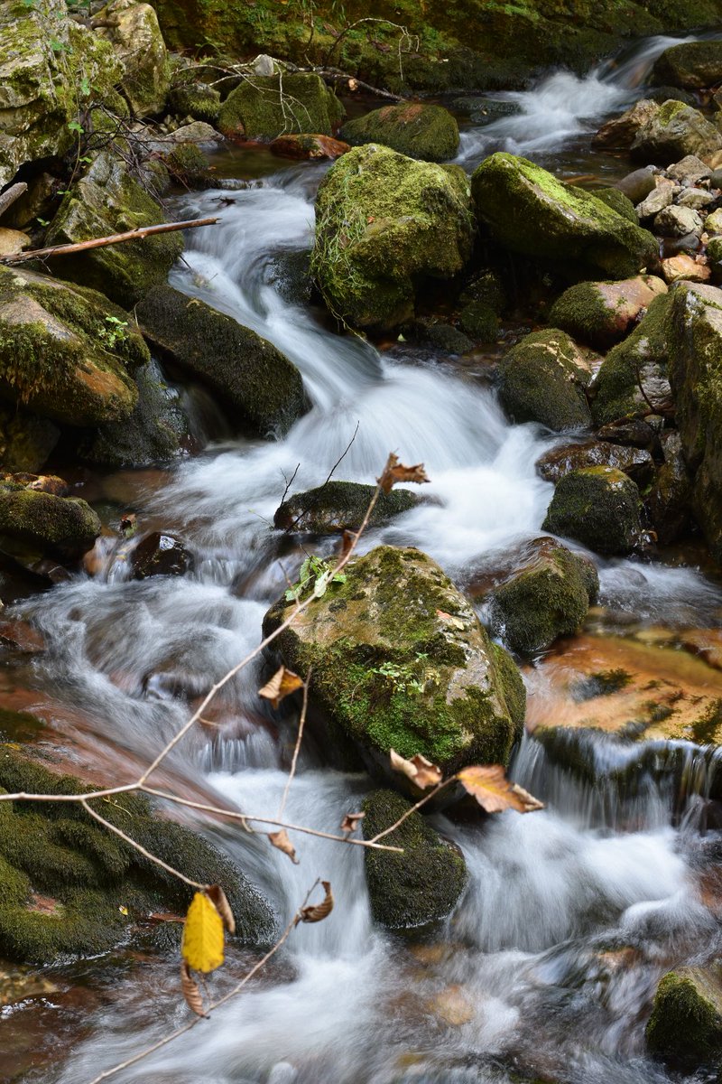 puky27's tweet photo. Fotos de ayer🍂
#AsturiasParaisoNatural 💚
#RutadelAlba https://t.co/NBpTGgcSs9