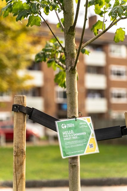 Friends of Whitefriars Open Space tweet media