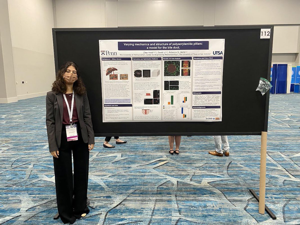 WellsLab tweet media