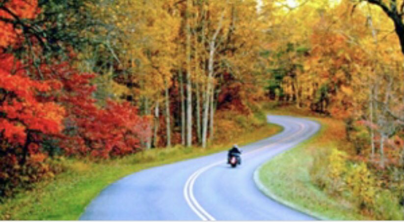 MotorMaids's tweet photo. Happy Thanksgiving!  I hope the holiday brings you some good riding along with the good food, friends, and family. https://t.co/j6rbxlq2ap