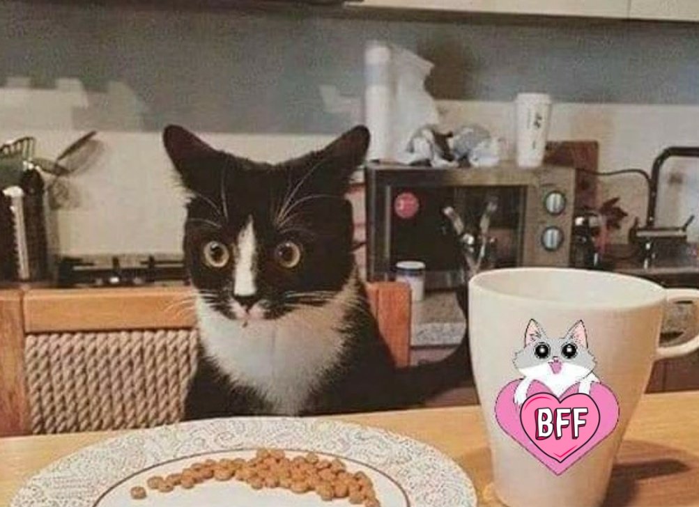 “Un café para reiniciar tu día”

Yo después de intentar reiniciar 5 veces: