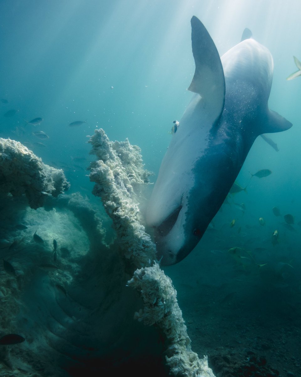 DannyEstcourt tweet media