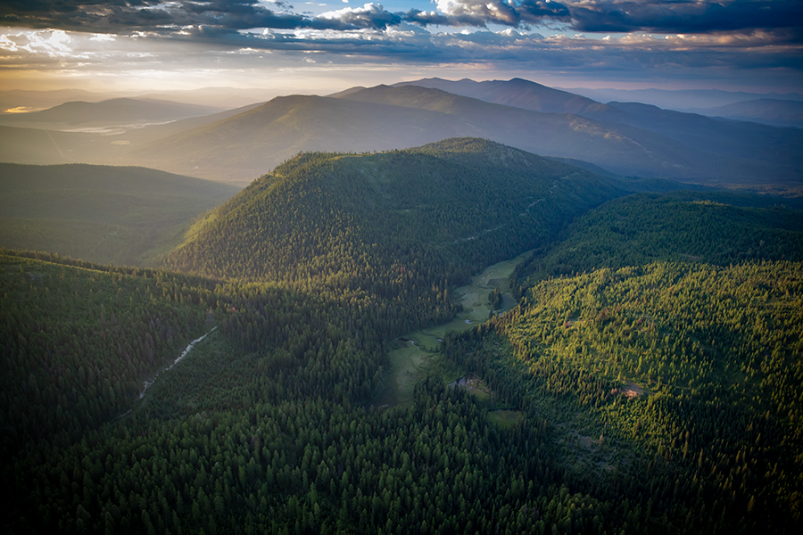 montanamalt's tweet photo. The importance of NW Montana forestland conservation clearly on display. So are the programs that make that conservation possible. https://t.co/ylWxHXPNgG @MontanaFWP @MontanaFWPR1 @tpl_org @SenatorTester @SteveDaines @RepRosendale @FlatheadNF @Visit_Kalispell @LWCFCoalition https://t.co/08SKkjGkey