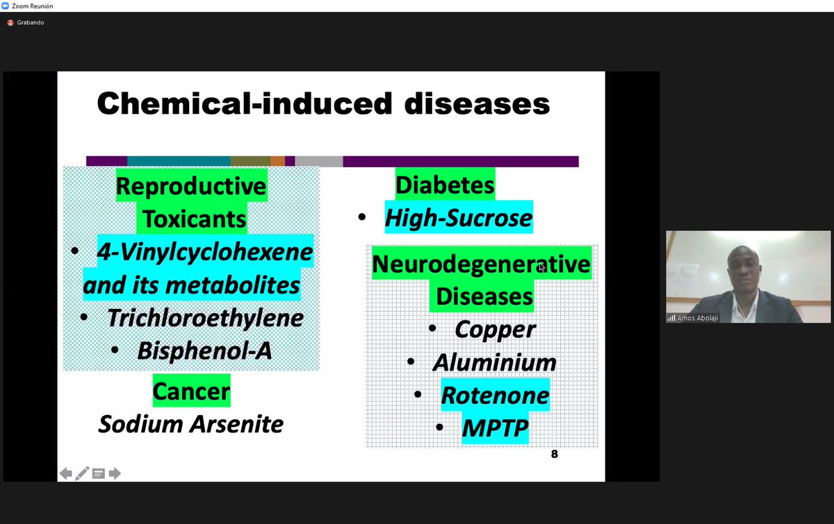 DrosAfrica (@drosafrica) on Twitter photo “Chemically induced diseases in #Drosophila “ by <a href="/amosabolaji/">Abolaji Amos</a> <a href="/UniIbadan/">University of Ibadan</a> at #DrosAfricaWorkshop2021 “Chemically induced diseases in #Drosophila “ by <a href="/amosabolaji/">Abolaji Amos</a> <a href="/UniIbadan/">University of Ibadan</a> at #DrosAfricaWorkshop2021