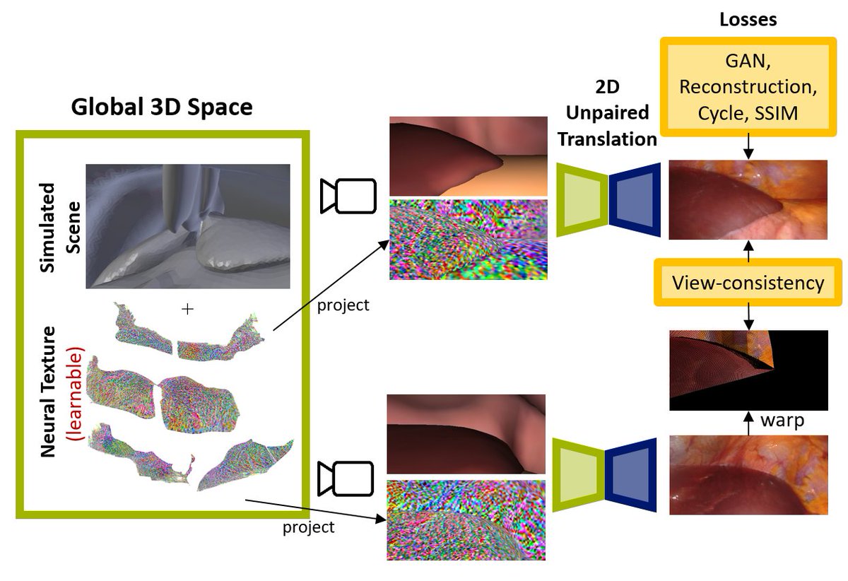 SpeidelStefanie's tweet image. We combine Neural Textures with SOTA unpaired image translation to render detailed and temporally consistent views over long trajectories #NeuralRendering