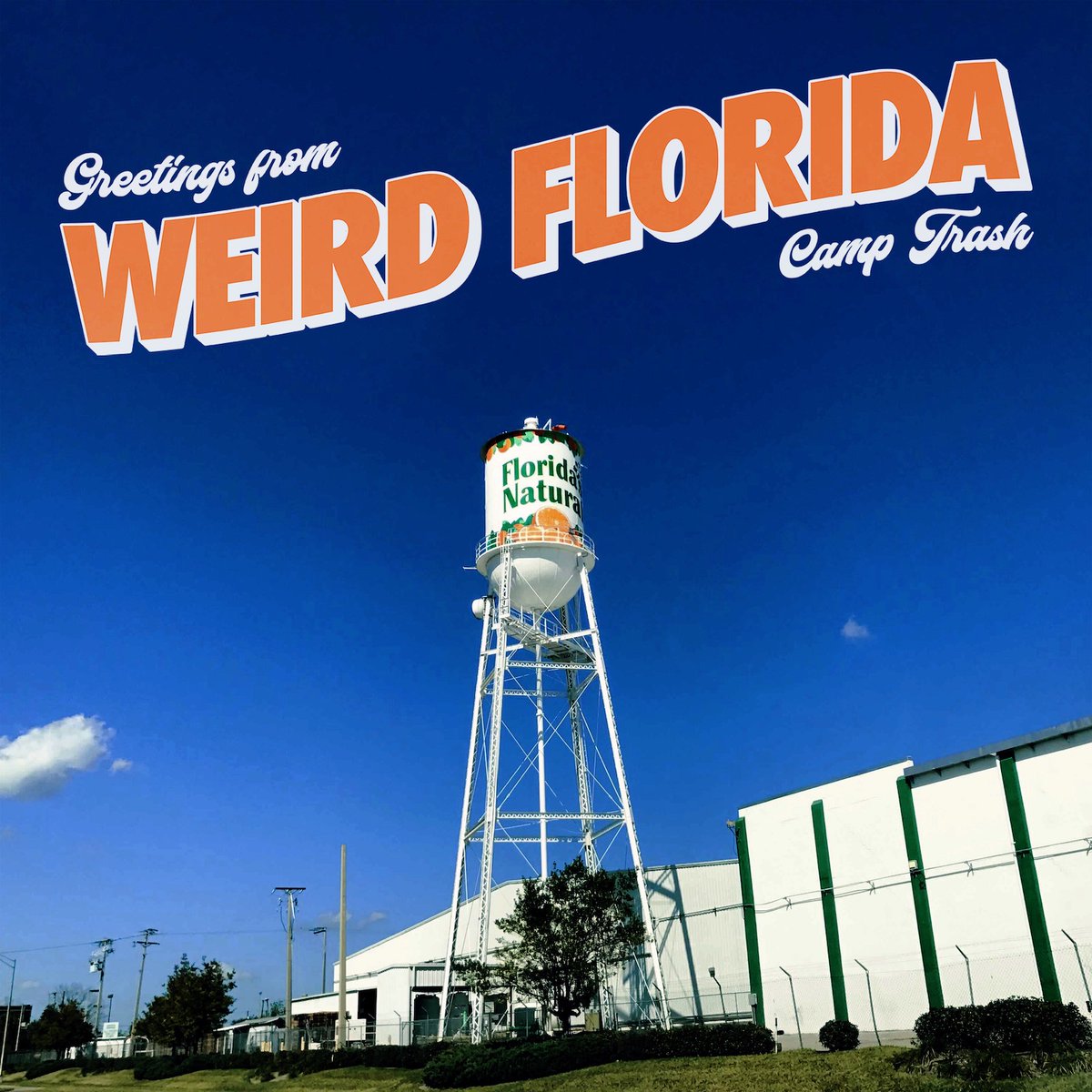 Listen to Camp Trash's new power pop/emo song "Weird Florida" brooklynvegan.com/camp-trash-ble…