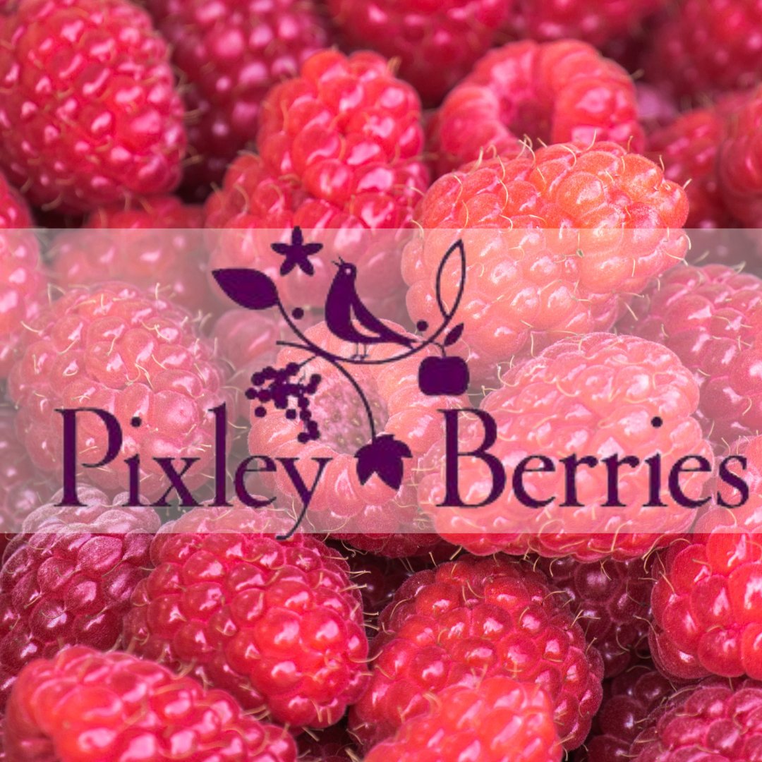 Monday. Tuesday. Wednesday. Thursday. BLINK Monday.🤔