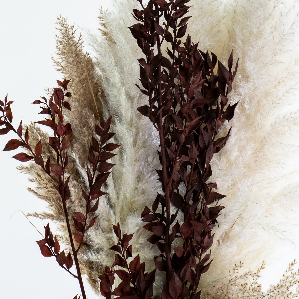 AtlasFlowersLtd's tweet photo. Fluffy grasses, ruscus, and typha are popular products.
Here we have our extra fluffy pampas grass, fluffy reed grass, henna ruscus, and black typha.
Get yours now at https://t.co/n3A8NqI6ry
#pampasgrass #pampas #fluffypampas #reedgrass #fluffyreedgrass #typha #ruscus https://t.co/0XS7IKQ2lu