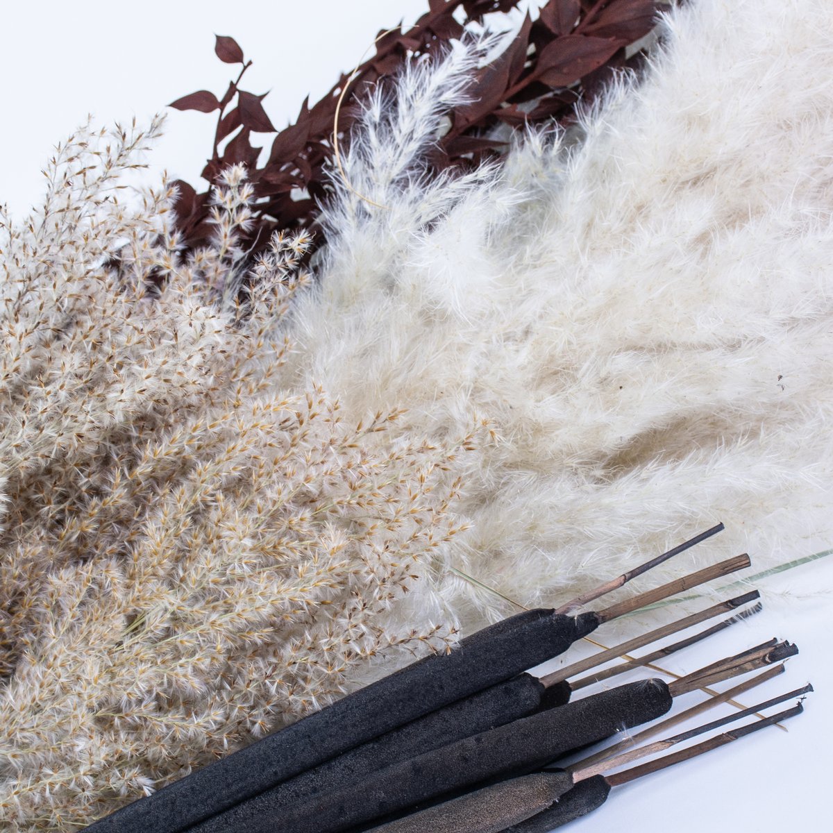 AtlasFlowersLtd's tweet photo. Fluffy grasses, ruscus, and typha are popular products.
Here we have our extra fluffy pampas grass, fluffy reed grass, henna ruscus, and black typha.
Get yours now at https://t.co/n3A8NqI6ry
#pampasgrass #pampas #fluffypampas #reedgrass #fluffyreedgrass #typha #ruscus https://t.co/0XS7IKQ2lu