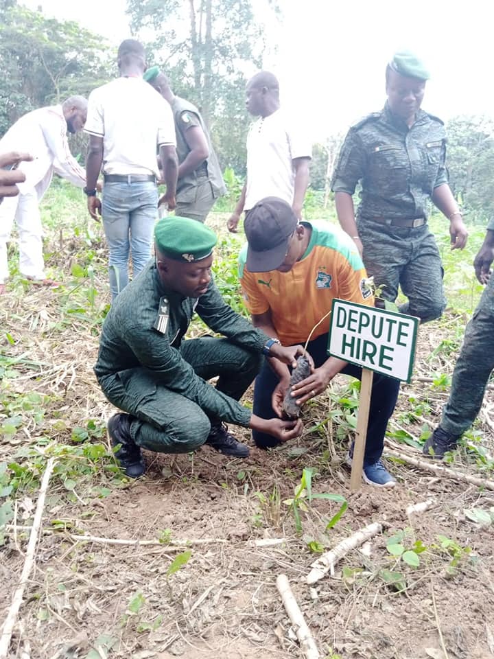 zapping_ci's tweet photo. #cotedivoire : Planting d’arbres dans la Réserve Botanique de Divo

1000 plants d'essences locales mis en terre ce jour sur une superficie d'un hectare.

#CIV225 #ivoirien  #Abidjan #developpement #environnement #minef #eauxetforetsci #50millionsdarbresci #reboissement https://t.co/QfzXPTbxrV