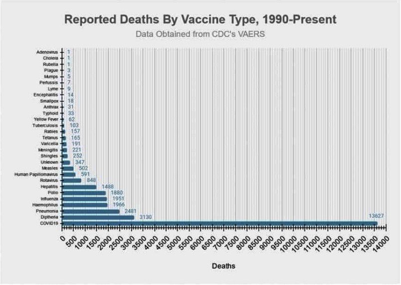 mindmatrix101's tweet photo. @GirlRicho no problem &amp; thank you for all you’re trying to do in making ppl aware of this nefarious fauci facist freak show 

imagine the stories the media blacks out &amp; how much real data is either skewed or outright blocked from public knowledge https://t.co/zg8HPpBkNR