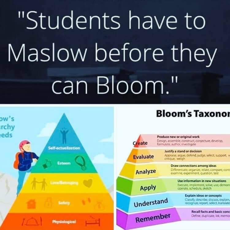 Gerry🧠🌱 tweet media