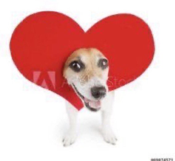 kiedirection's tweet image. happy coming out day 🖤