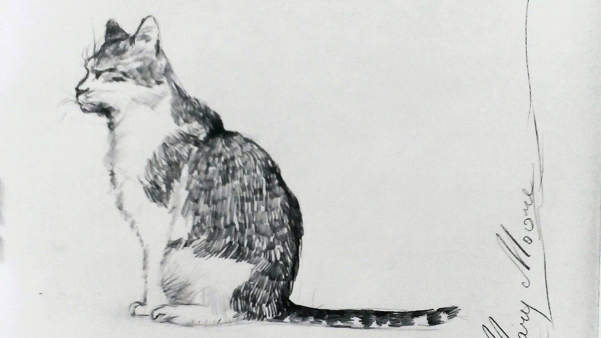 ArtOiseau's tweet photo. My submission for the #DATutorialcat
#doodle #doodleart #doodlesketch #doodles #illustrator #illustration #illustrationartists #traditionalart #pencildrawing #pencilsketch #pencilart #drawing #drawings #sketch #sketching #sketchbook #sketchart #myart #art #artwork #painting https://t.co/i8h7WG30ir