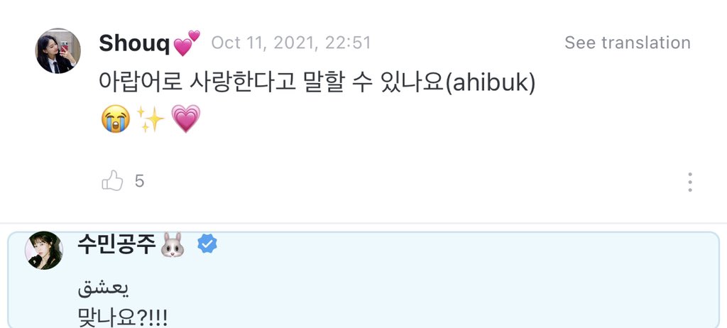 211011
🍬: can you say i love you in arabic (ahibuk)😭✨💗
🐰: يعشق
is it correct?!!!