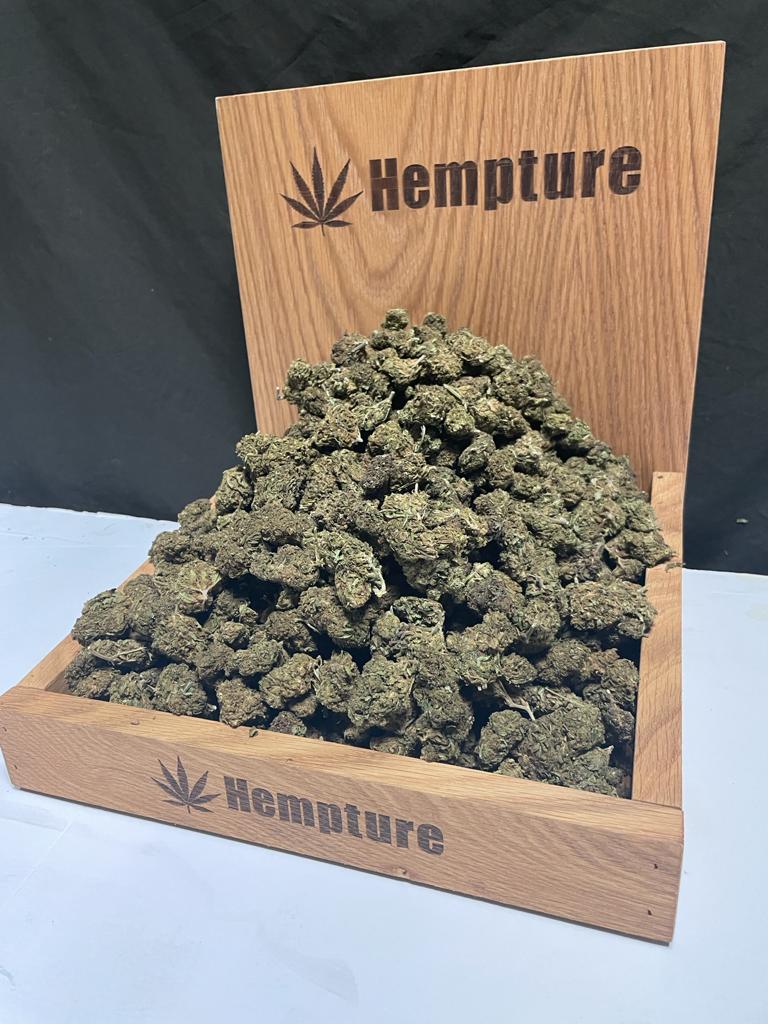 Hempture's tweet image. Its here!!
Free weed anyone?
Hempture MINI CBD SAMPLER – Part 16 – OCT 2021
hempture.ie/shop/hempture-…