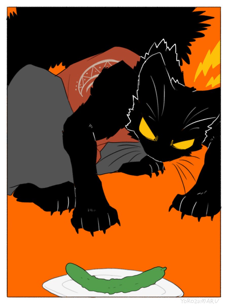 orange background cucumber black fur cat black cat no humans animal focus  illustration images
