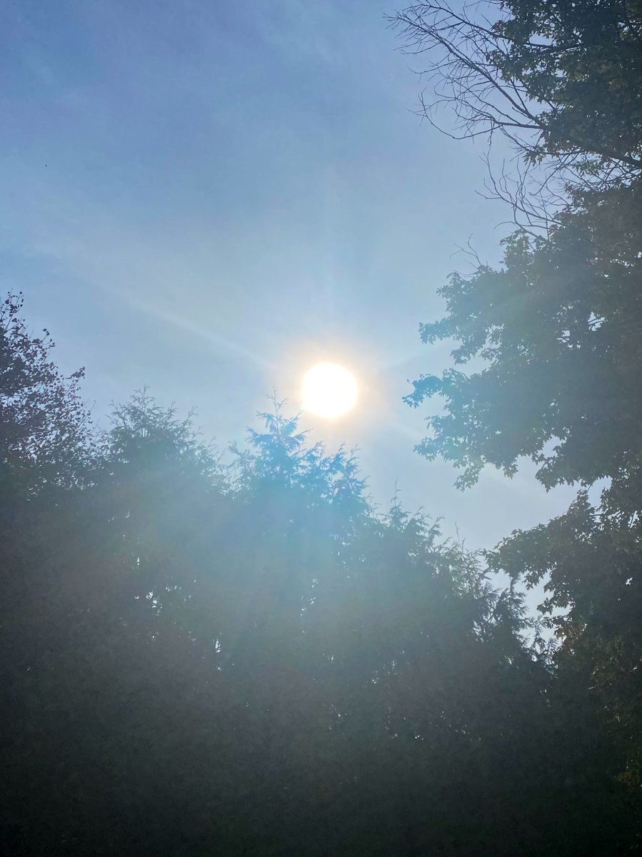 What a beautiful day. #HappyThanksgiving friends 🙏🏻