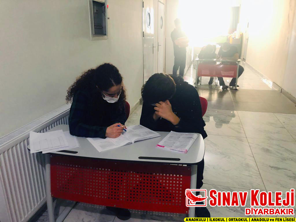 dbsinavkoleji's tweet photo. Bire bir etütlerimizle YKS-2022 çalışmalarımız devam ediyor. İstikrarımızı bozmadan adım adım hedefe ilerliyoruz. 
#yks2022 #Sınav #DiyarbakırSınavKoleji #EtütSınavda
#SınavEtüt #Diyarbakır #Kolej #EniyiÖzelOkul https://t.co/4cgBGgMfhi