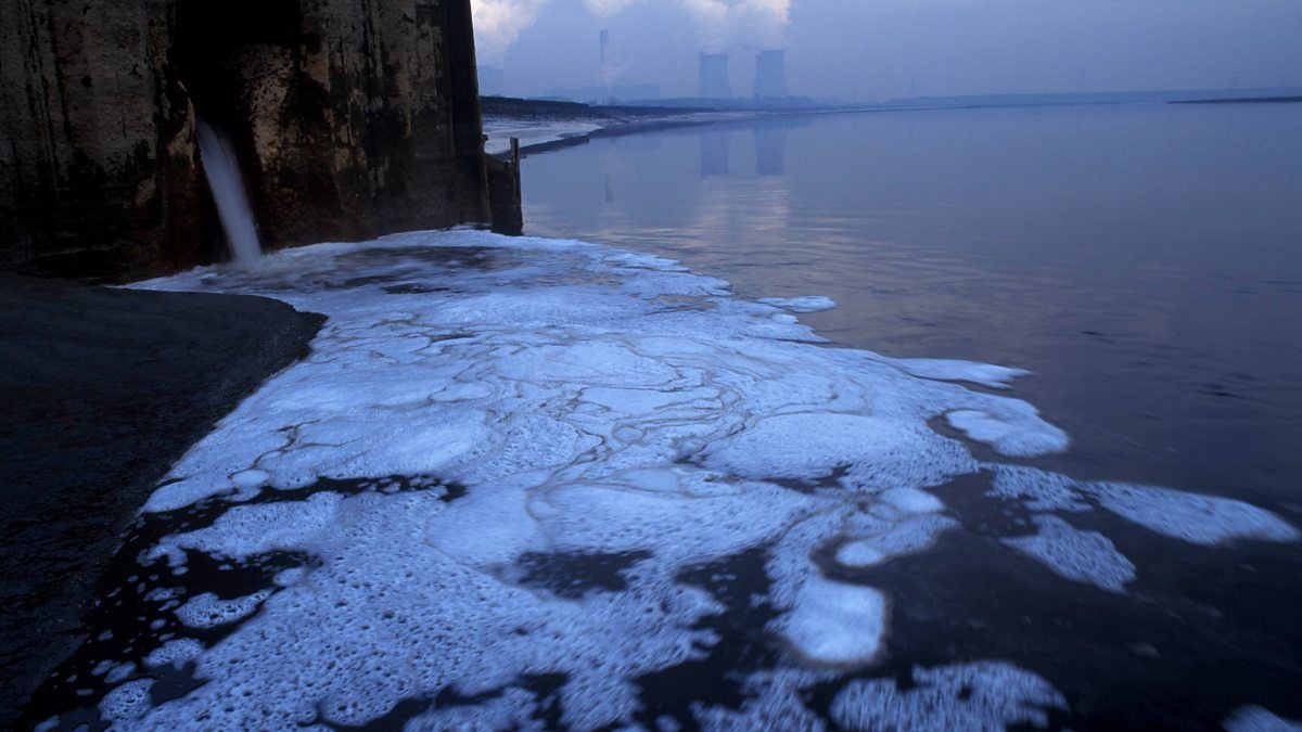 Cardiffuninews's tweet photo. .@SteveOrmerod, professor of ecology @CUBiosciences and co-director of @CUWaterResearch was part of an expert discussion on @BBCRadio4 on why Britain’s rivers are so dirty – and what can be done about it.

https://t.co/AnLgfoMLkM https://t.co/9CUbHzSLuv