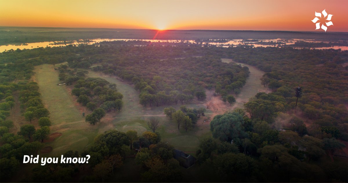African_Sun's tweet photo. Elephant Hills Resort &amp; Conference Centre boasts an 18-hole championship golf course designed by the legendary Gary Player. Be sure to take a swing with us next time you are in Victoria Falls
#AfricanSunHotels #VistZimbabwe #Summer #Travel  #AfricanSunHotels #VistZimbabwe https://t.co/GLydJU1hqz