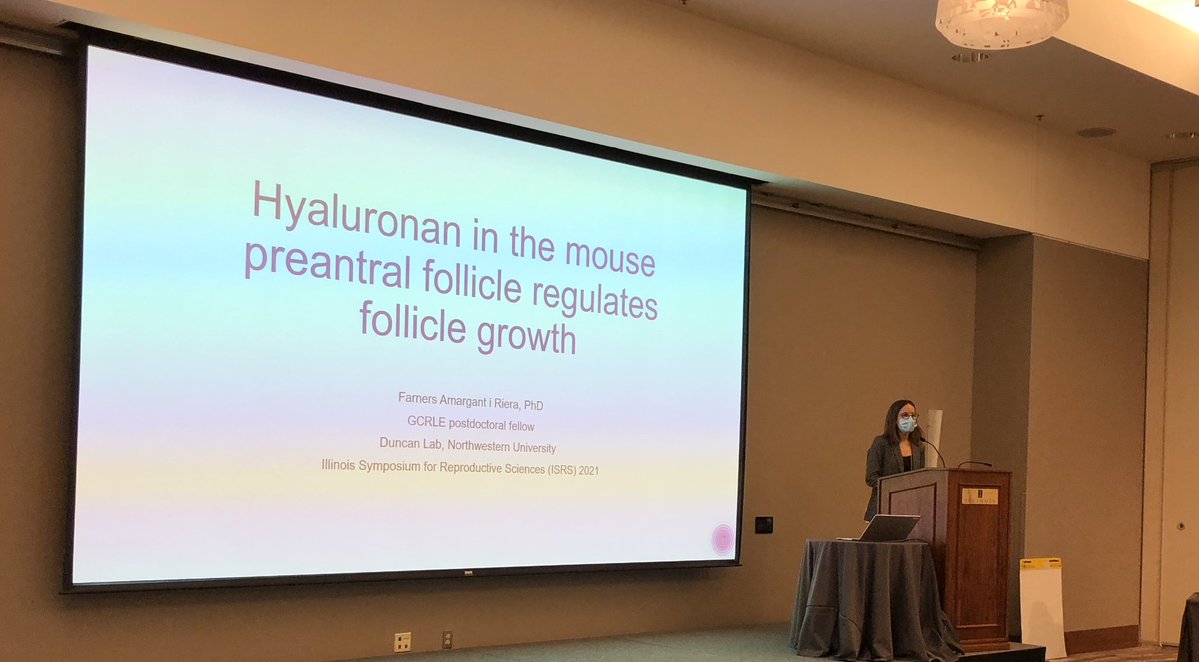 NUDuncanLab's tweet image. ⭐️The #NUDuncanLab team is so proud of @FarnersRiera for her great presentation this morning at the 2021 Illinois Symposium on Reproductive Sciences! ⭐️
#WomenInSTEM #ReproductiveScience #Follicle